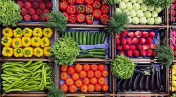 5 و7 جنيه.. أسعار الخضروات والفاكهة تتغير اليوم الأحد 23 نوفمبر 2025 وتؤثر على ميزانيتك اليومية